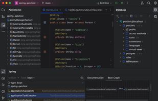 IntelliJ IDEA provides first-class support for leading frameworks with dedicated assistance for Jakarta EE, JPA, Reactor, Spring and Spring Boot, and other popular frameworks.