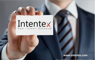 Intentex screenshot 1