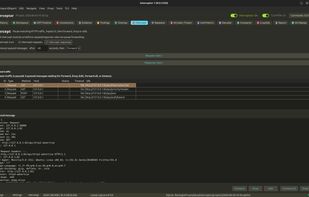 Interceptor screenshot 3