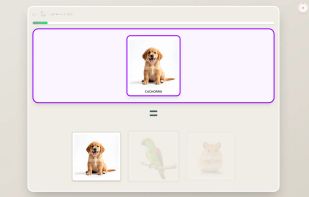 Interlaza screenshot 1