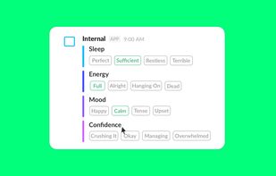 Internal screenshot 3