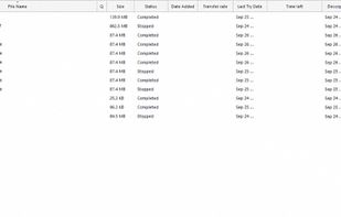 Internet Download Manager for Windows screenshot 2