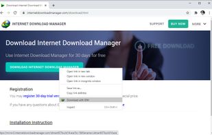 Internet Download Manager screenshot 2