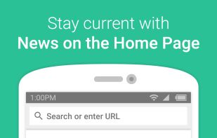 Internet: fast, lite, and private screenshot 1
