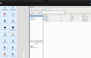 Applications delivered via the Web portal mode
