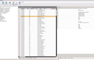 Invantive Studio screenshot 1