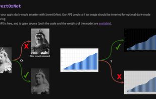 InvertOrNot screenshot 1