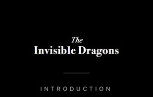 Invisible Dragons screenshot 1