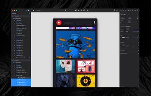 InVision Studio screenshot 3