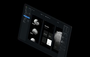 InVision screenshot 1
