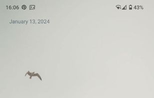 Ion Launcher screenshot 1