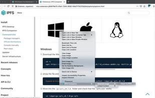 IPFS Companion screenshot 1