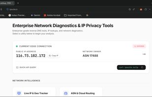 Console Page - Light Mode