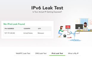 IPv6 Test Tool screenshot 1