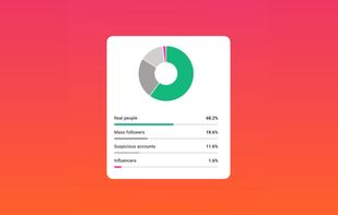 AI fake-follower detection: real people vs mass followers vs suspicious accounts
