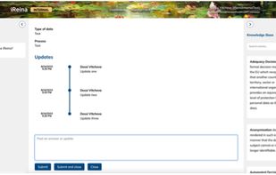 DPO comments and validation console