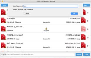 iRocksoft PDFPasswordRemover screenshot 1