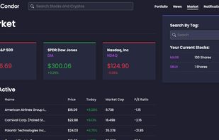 Iron Condor screenshot 1
