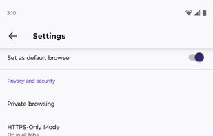 IronFox screenshot 2