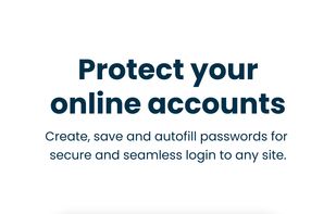 IronVest screenshot 1