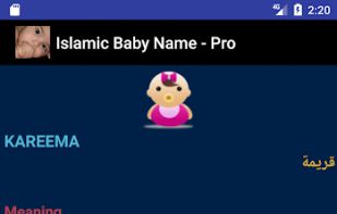Islamic Baby Name - Pro screenshot 3