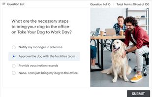 Presentations and quizzes on mobile devices