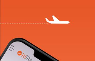 ITILITE screenshot 1