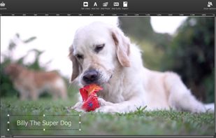 itsMine Video Protector screenshot 2
