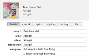 Song info metadata editing interface. Also includes custom artwork upload, lyrics upload