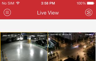 iVMS-4500 screenshot 1