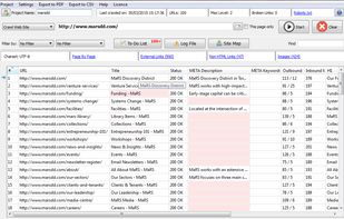 IziSEO main interface after a website is crawled