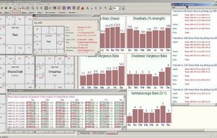 Jagannatha Hora screenshot 1