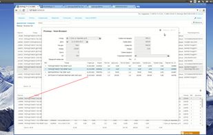 Master-child table underneath, with double click on the child table will open a form.