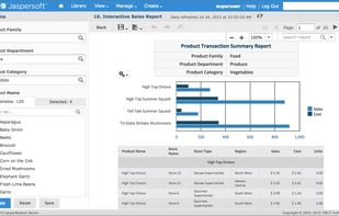 JasperReports screenshot 1