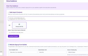 The bulk import interface for uploading existing subscriber lists via CSV file.