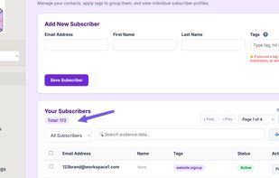 The centralized subscriber management dashboard showing the active audience list and multiple workspaces.