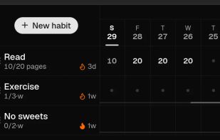 The grid on a phone. Each row is a habit, each column a day, with today on the left.