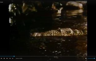 Jellyfin screenshot 3