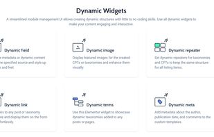 Dynamic widgets
