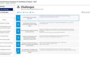 Determine and articulate your key challenges.