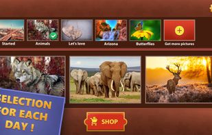 Jigsaw Puzzles World screenshot 2