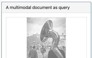 Search with image AND text