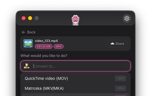 Video Actions Section