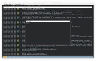 json-log-viewer screenshot 2