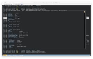 json-log-viewer screenshot 1