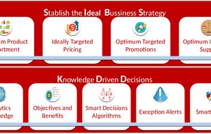Optimal inventory in the supply chain
Optimal assortment and variety
Competitive and profitable prices
Effective and customer-specific promotions
Market plan for revenue management