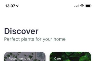 Jungled screenshot 1