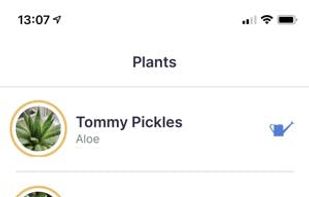 Jungled screenshot 3