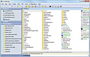 Just Manager screenshot 1