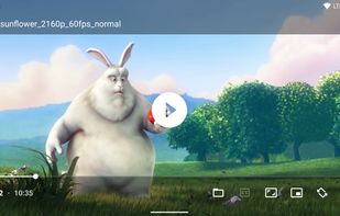 Just (Video) Player screenshot 1